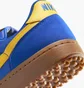 Кросівки чоловічі Nike Field General Blue HF3165-401