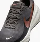 Кросівки жіночі Nike Revolution 8 Black HJ8485-200