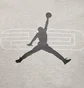 Худи мужское Air Jordan Sport Crossover MenS Fleece Pullover Hoodie Grey HQ8694-084