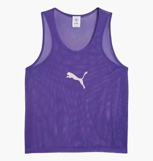 Манишка унисекс Puma Team Additions Violet 660717-10