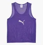 Манишка унисекс Puma Team Additions Violet 660717-10