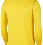 Олимпийка детская Nike Park 20 Yellow FJ3026-719