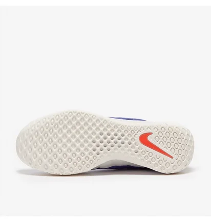 Кроссовки мужские Nike Court Zoom Nxt Hc Violet DH0219-400