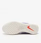 Кроссовки мужские Nike Court Zoom Nxt Hc Violet DH0219-400