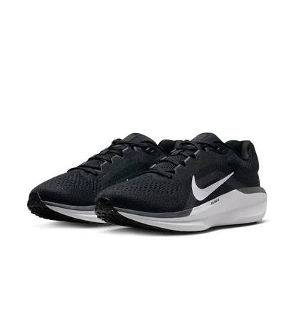 Кроссовки женские Nike Air Winflo 11 Black FJ9510-001
