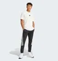 Штаны мужские Adidas Future Icons 3-Stripes Joggers Black IN3310