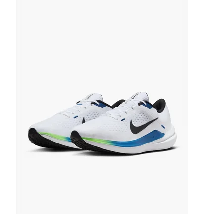 Кроссовки мужские Nike Winflo 10 Road Running Shoes White DV4022-103