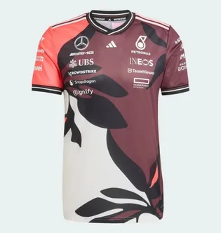 Футболка чоловіча Adidas Mercedes - Amg Petronas Formula One Team Driver Authentic Summer Pack Multi JZ6203