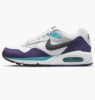 Кроссовки женские Nike Womens Shoes White/Violet 511417-153