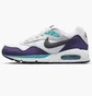 Кросівки жіночі Nike Womens Shoes White/Violet 511417-153