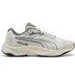 Кросівки унісекс Puma Insphere Grey 404715-07