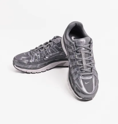 Кросівки чоловічі Nike P-6000 Metallic CD6404-023