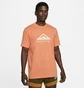 Футболка чоловіча Nike Dri-Fit Trail Orange Dm5412-871