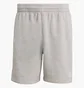 Шорты мужские Adidas Trefoil Essentials Grey KE3370