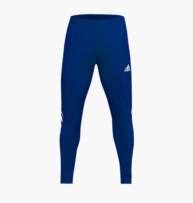 Штаны мужские Adidas Tiro 21 Training Pant Blue GJ9870