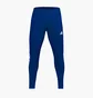 Штаны мужские Adidas Tiro 21 Training Pant Blue GJ9870