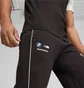 Штаны мужские Puma Bmw M Rsport Sds Black 621867-01
