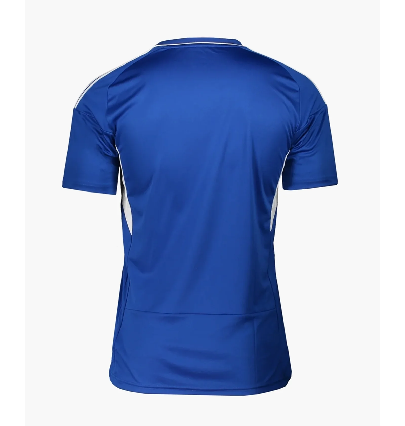ᐉ Футболка мужская Adidas Milic22 Custom Trikot Blue HB5381