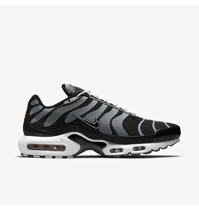 Кроссовки мужские Nike Air Max Plus Black DM2466-001