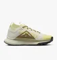 Кроссовки женские Nike Pegasus Trail 4 Gore-Tex Waterproof Trail Running Shoes Beige DJ7929-101