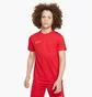 Футболка детская Nike Dri-Fit Academy 23 Red DR1343-657