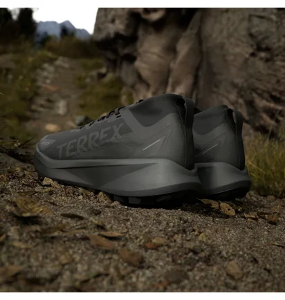Кросівки чоловічі Adidas Terrex Agravic Gtx Black JR5240