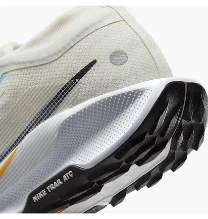 Кросівки жіночі Nike W Pegasus Trail 5 Gtx Waterproof Beige FQ0912-003