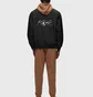Вітровка чоловіча Air Jordan Essentials Black FN4537-010