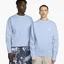 Свитшот унисекс Nike Acg Therma-Fit Fleece Crew Light Blue DX9611-479