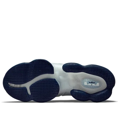 Кроссовки унисекс Nike Lebron Xix "Space Jam" White/Blue DC9338-100