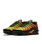 Кроссовки женские Nike Air Max Plus Green/Black AQ9979-001