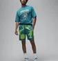 Шорты мужские Air Jordan Dri-Fit Sport Turquoise FB7576-336