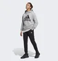 Спортивний костюм чоловічий Adidas Big Logo Terry Track Suit Grey Ic6749
