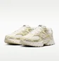 Кросівки унісекс Nike V5 Rnr Se Beige IO0464-101