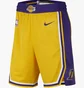 Шорты мужские Nike La Lakers Short Yellow/Violet AJ5617-728