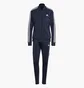 Спортивний костюм жіночий Adidas Essentials 3-Stripes Blue IJ8782