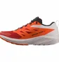 Кроссовки мужские Salomon Sense Ride 5 Trail Running Shoes Orange/White L47046200
