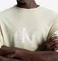Футболка чоловіча Calvin Klein Yellow J30J325427-LFU