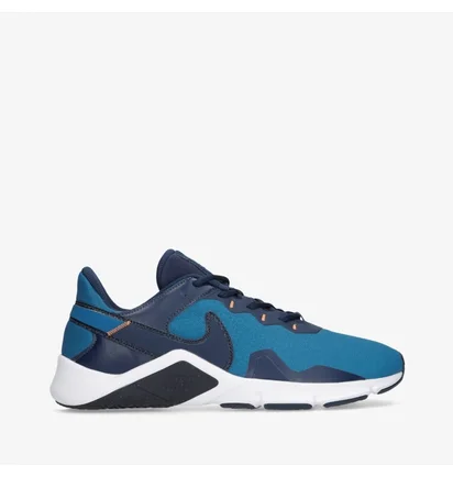 Кроссовки мужские Nike Legend Essential 2 Blue CQ9356-402