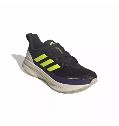 Кросівки чоловічі Adidas Ultrarun 5 Tr Black JR5380