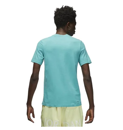 Футболка чоловіча Air Jordan Jumpman Turquoise Cw5190-392