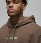 Худи мужское Air Jordan Wordmark Hoodie Brown DV6463-270
