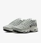 Кроссовки женские Nike Air Max Plus Grey FV8480-002