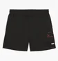 Шорты мужские Puma Ess Logo Lab Black 692033-01