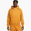 Худи мужское Nike Solo Swoosh MenS Fleece Pullover Hoodie Yellow DX1355-754