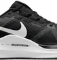 Кросівки чоловічі Nike Structure 25 Black DJ7883-002