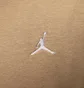 Толстовка чоловіча Air Jordan Brooklyn Fleece Beige FV7289-257