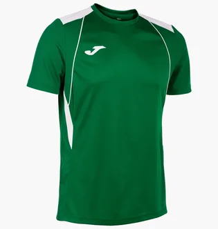 Футболка мужская Joma Champion Vii Green 103081.452