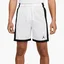 Шорты мужские Air Jordan Dri-Fit White/Black DH9077-100