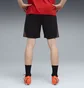 Шорти чоловічі Puma Individualfinal Black 660428-01